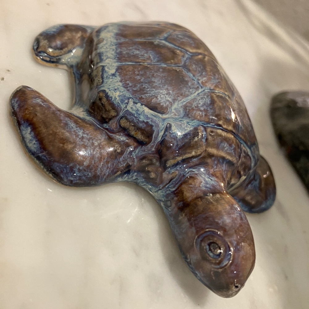 Sea Turtle - Picture 7 of 11